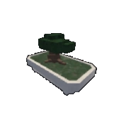Bonsai